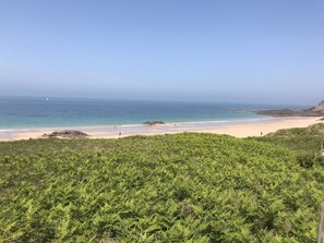 Une plage avec un ciel dégagé, un rivage sablonneux et une végétation luxuriante au premier plan.