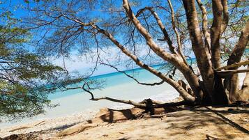 A beach with a large tree in the foreground and a clear view of the ocean.