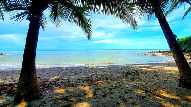 Una playa con palmeras y agua azul cristalina.