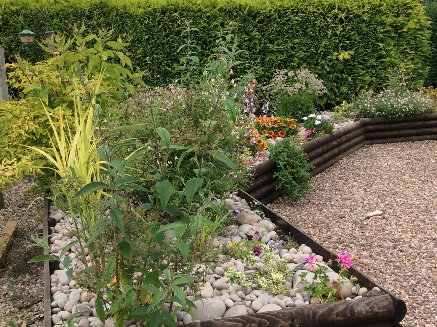 Um jardim com diversas plantas e flores, um cercado de madeira e um caminho de cascalho.