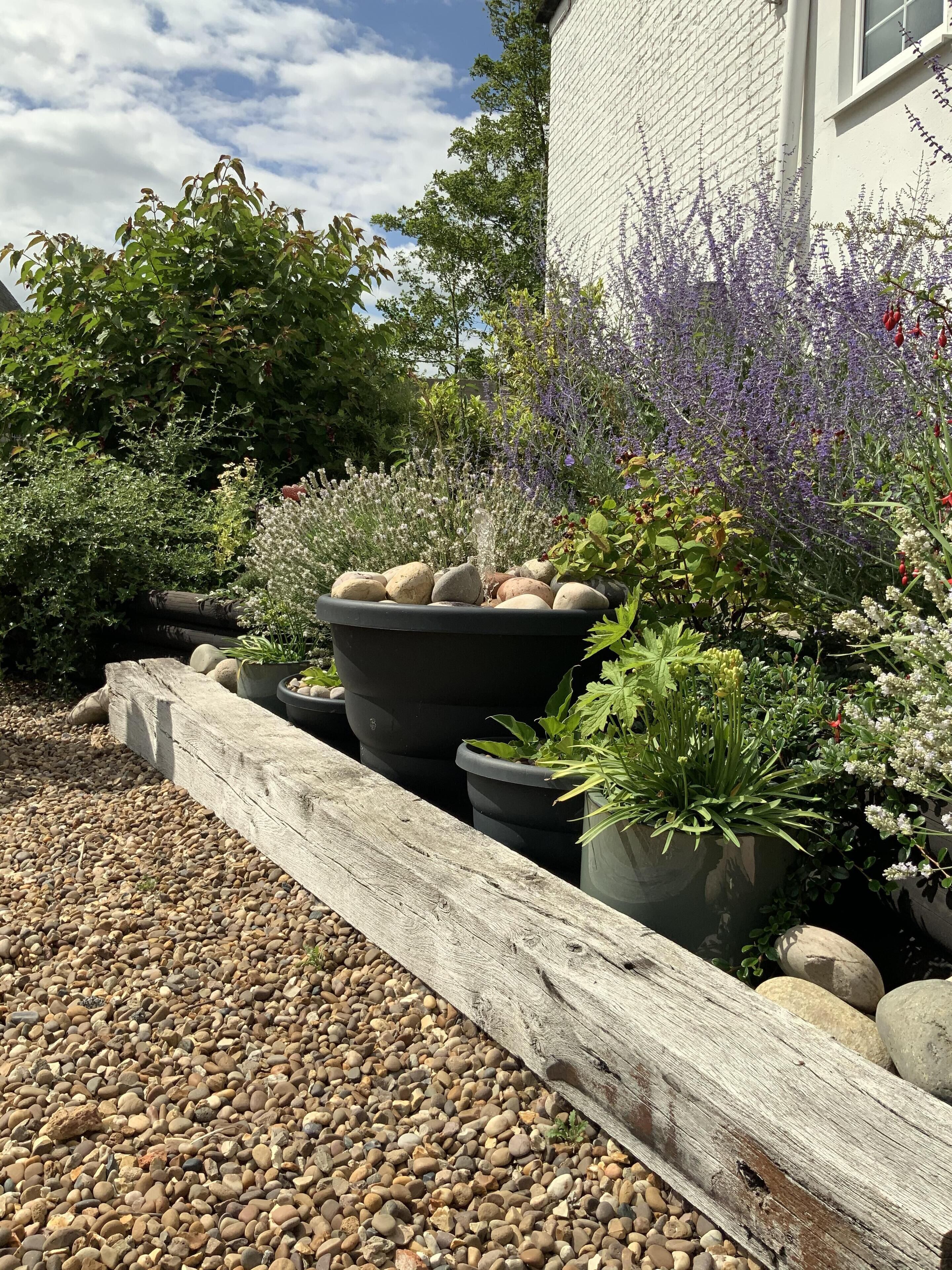 Un jardin agrémenté de différentes plantes en pot et délimité par une clôture en bois.