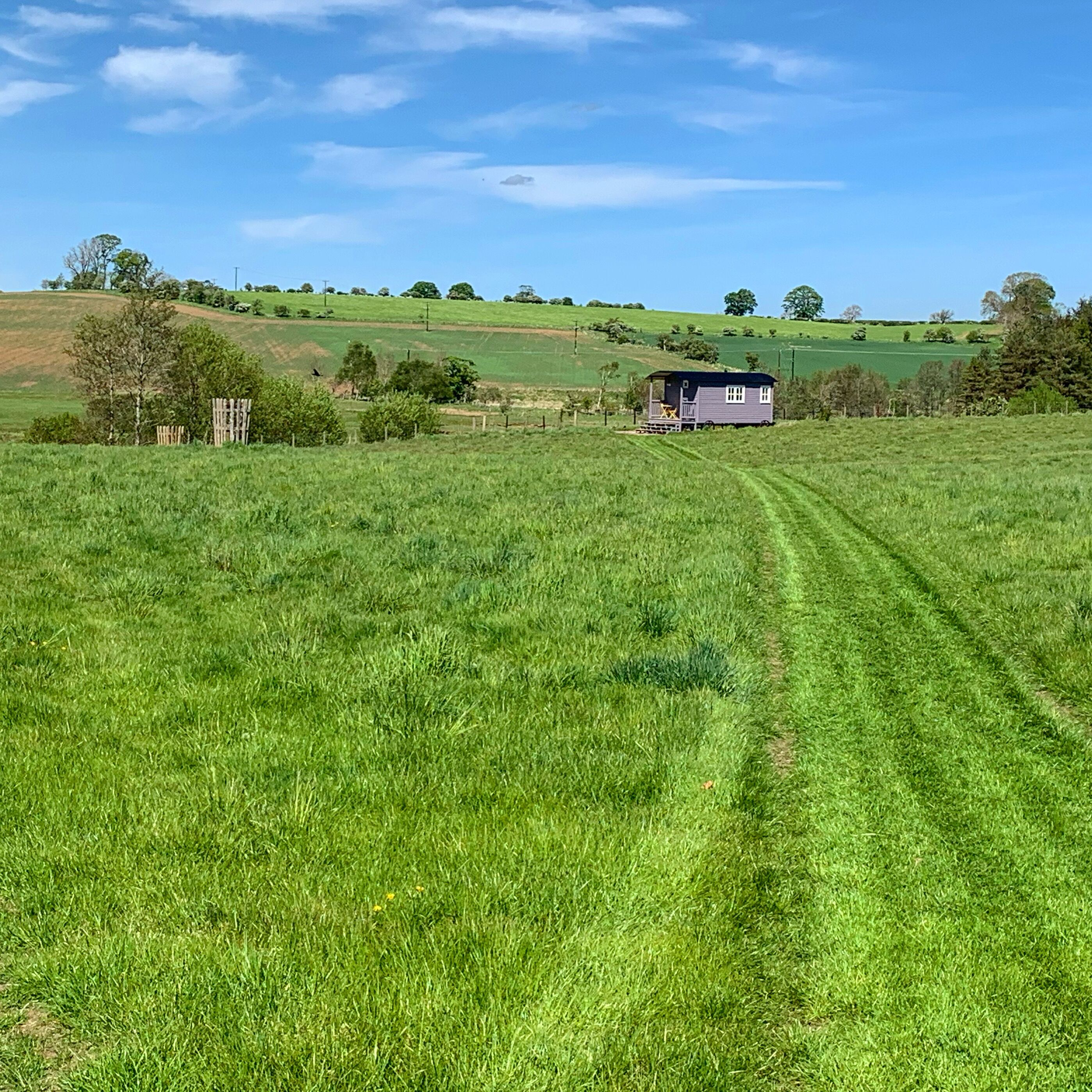A rural landscape with a small house on a hill, surrounded by green fields and trees.