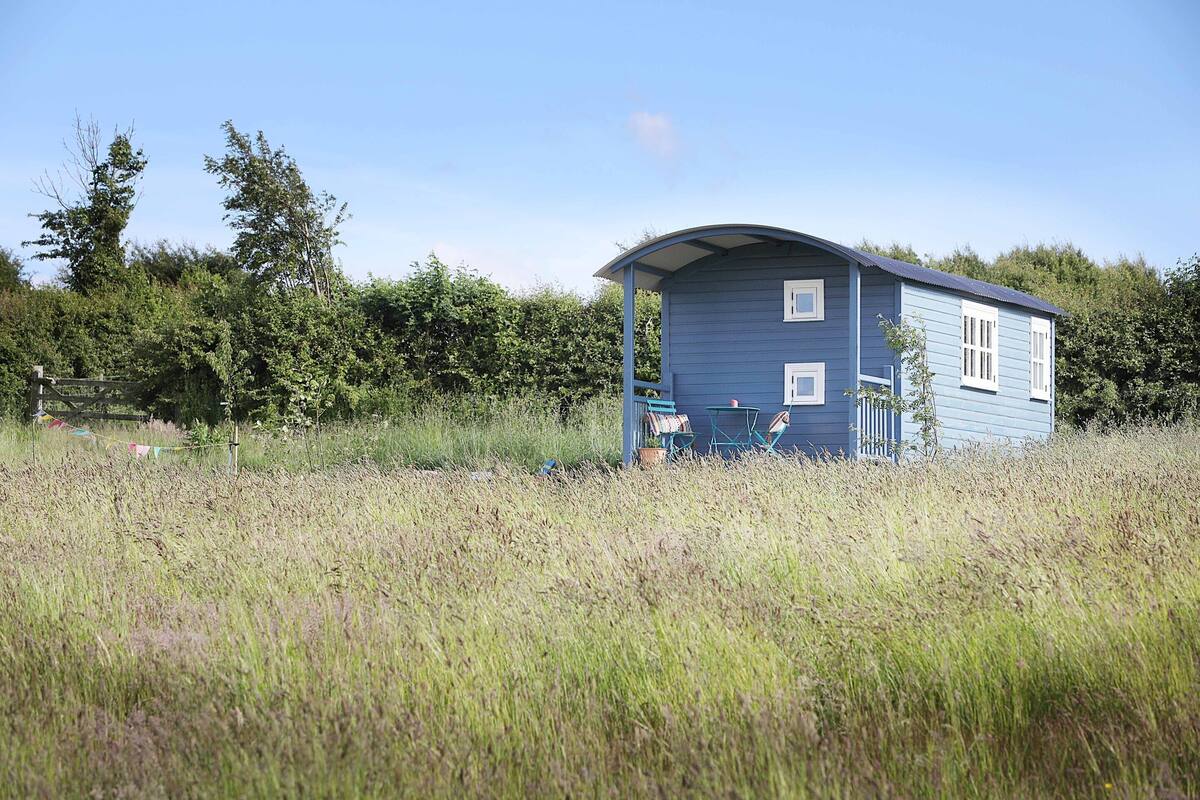 A small, single-story blue house with a curved roof, surrounded by tall grass and trees.