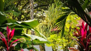 Garden - Hotel Casacolores (Cóbano)