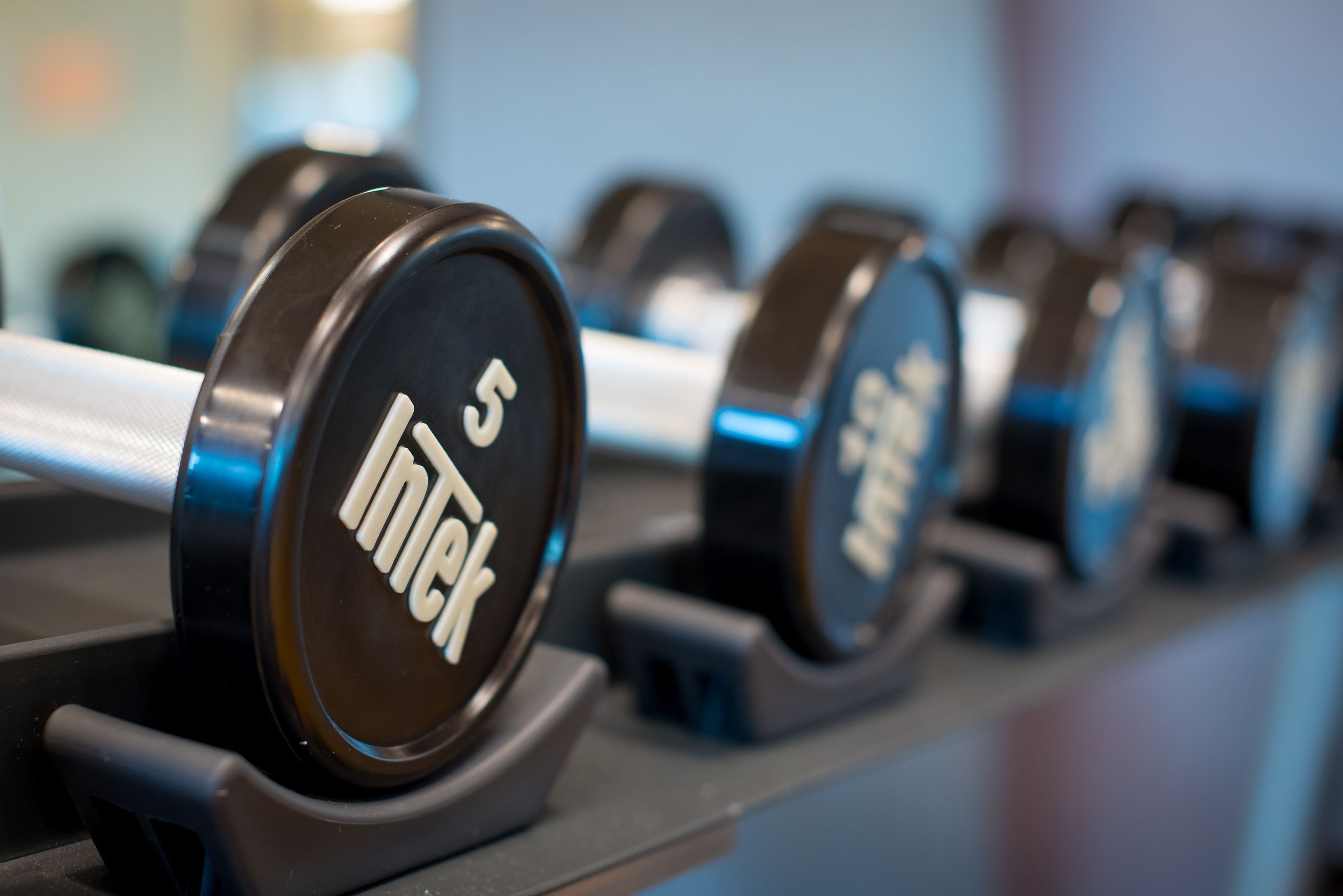 A row of dumbbells with the brand 'Intek' and weight markings, arranged on a rack.