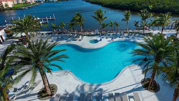 A large outdoor swimming pool with lounge chairs and palm trees.