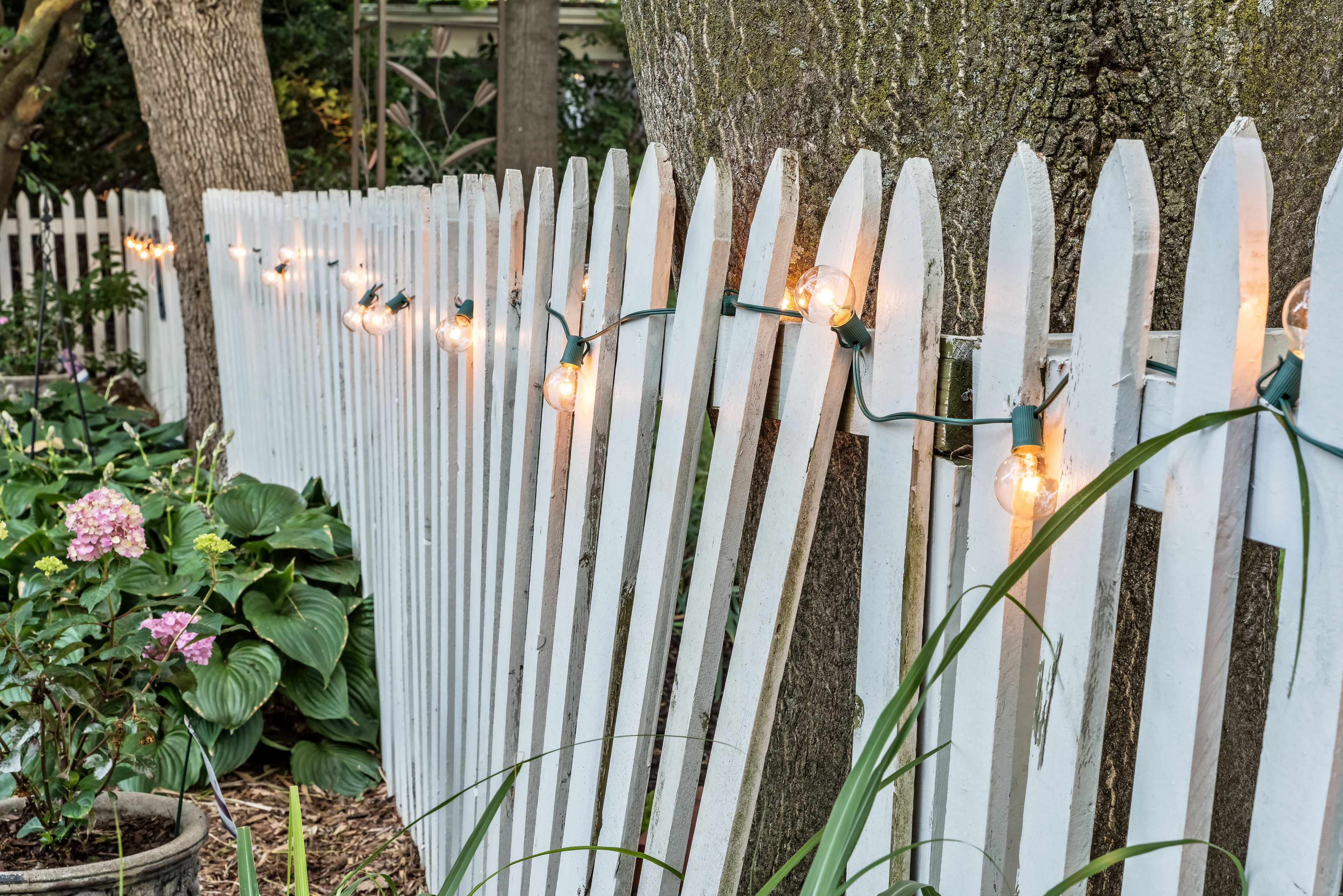 A white picket fence with string lights.
