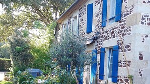 Un edificio con persianas azules, un jardín con flores rojas y rosas, y un árbol.