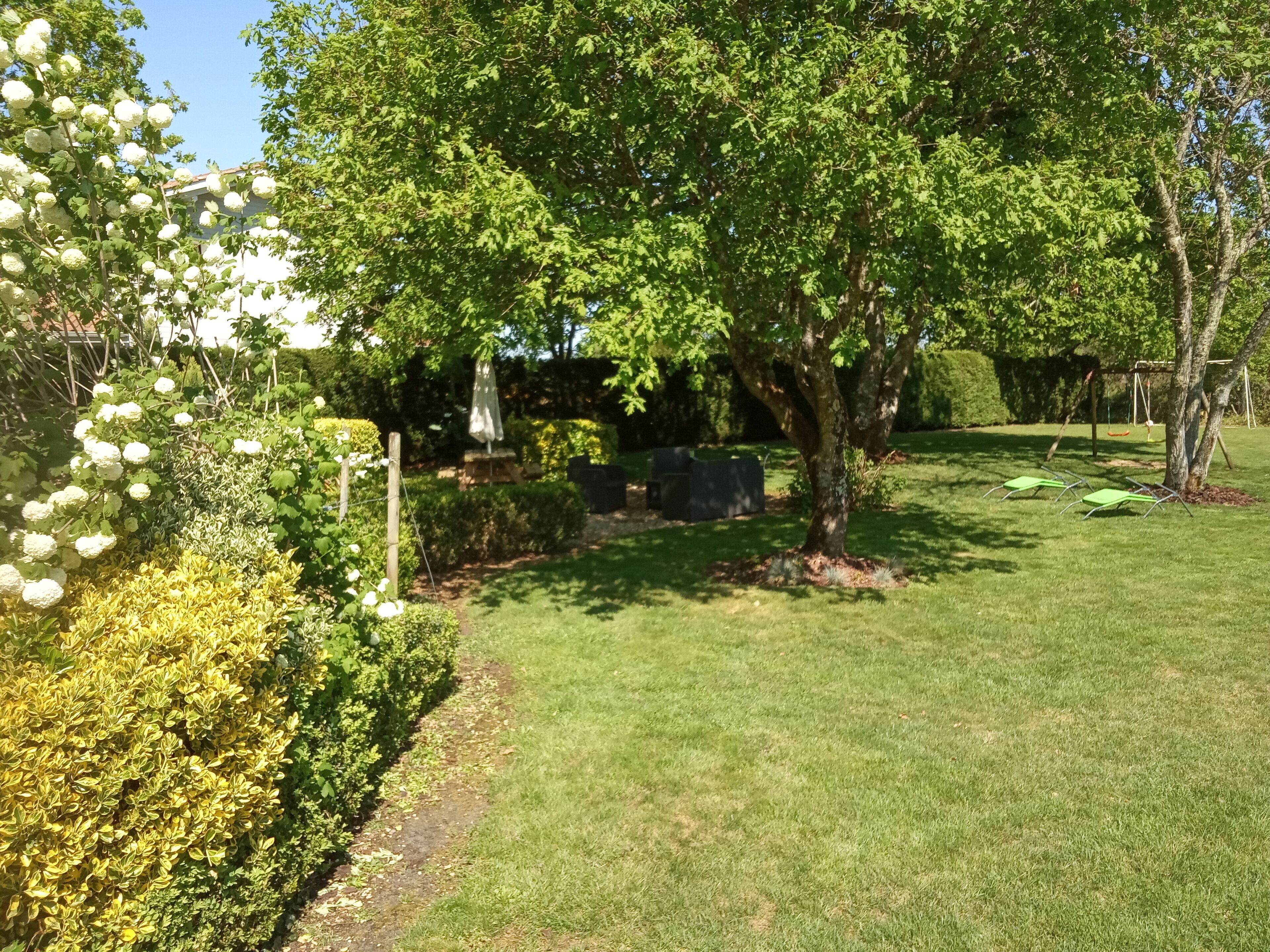 Een verzorgde tuin met diverse beplanting, een gazon en een schommel.