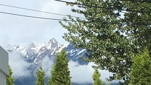 A row of tall, coniferous trees in front of a mountain range with snow-capped peaks. - Pinewood Inn (Golden)
