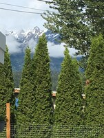 A row of tall, coniferous trees in front of a mountain range with snow-capped peaks.