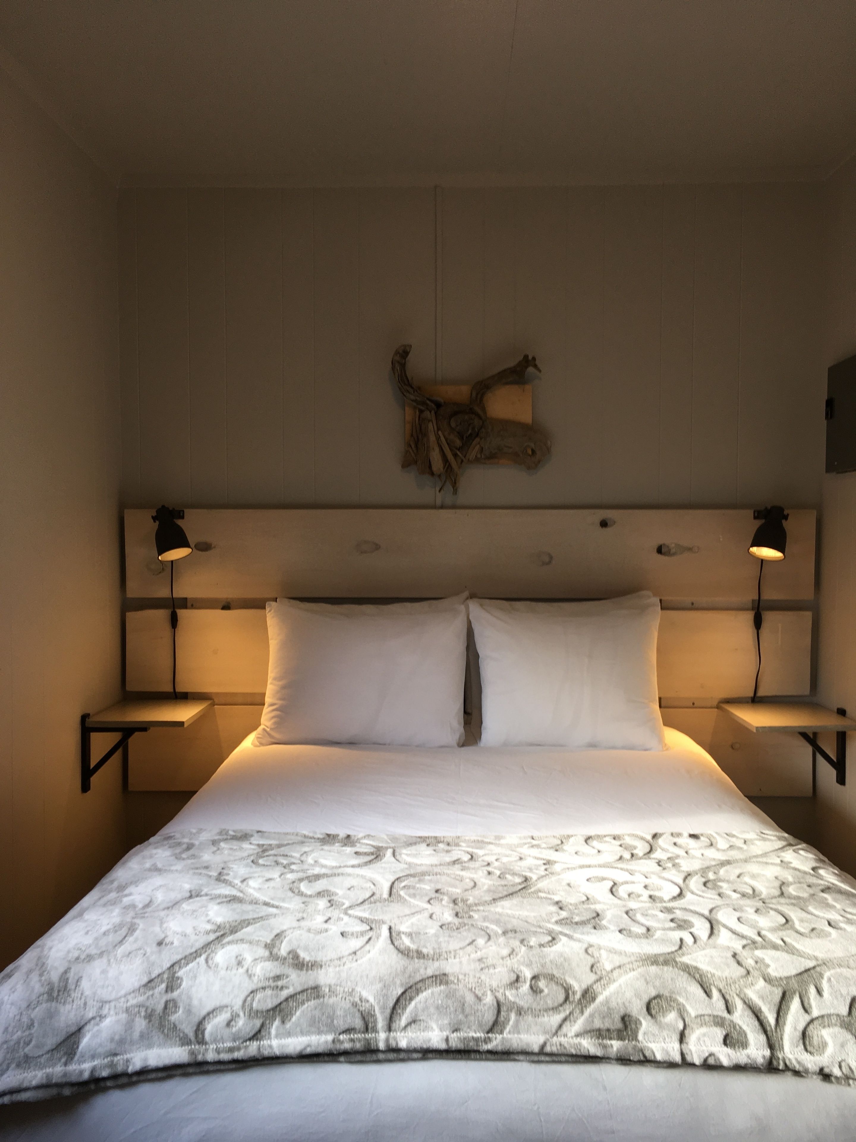 A bed with a patterned bedspread, two bedside lamps, and a wooden headboard with a mounted animal head.