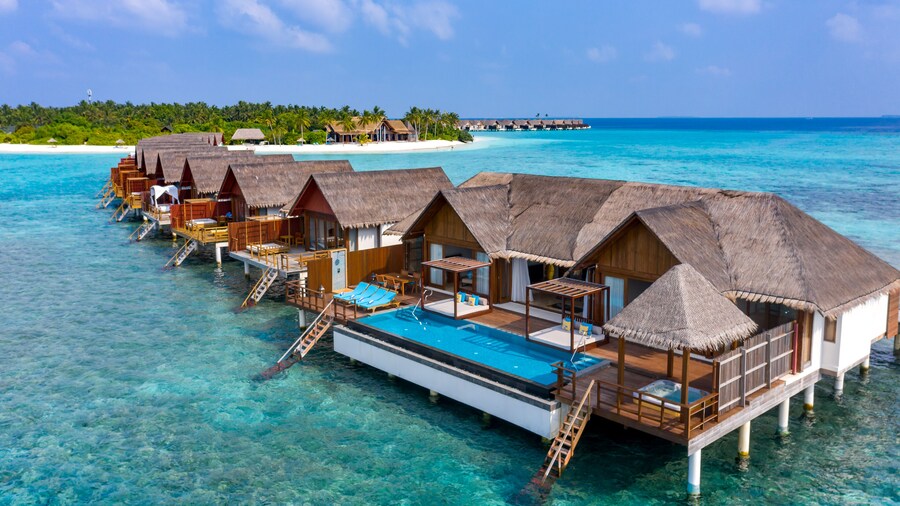 フラベリ モルディブ