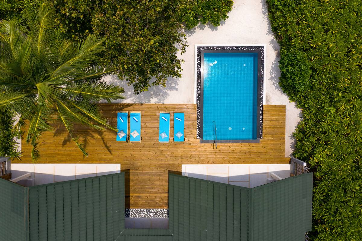 A rooftop pool with a wooden deck, surrounded by lush greenery and a white wall.