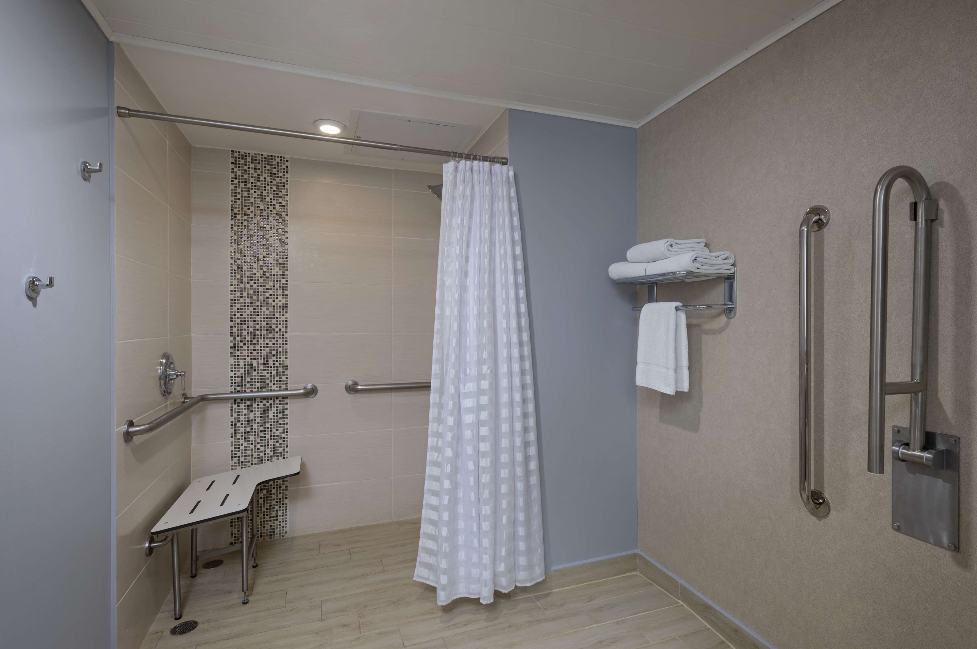 Room, 1 King Bed, Accessible (Shower) | Bathroom | Shower, designer toiletries, hair dryer, towels
