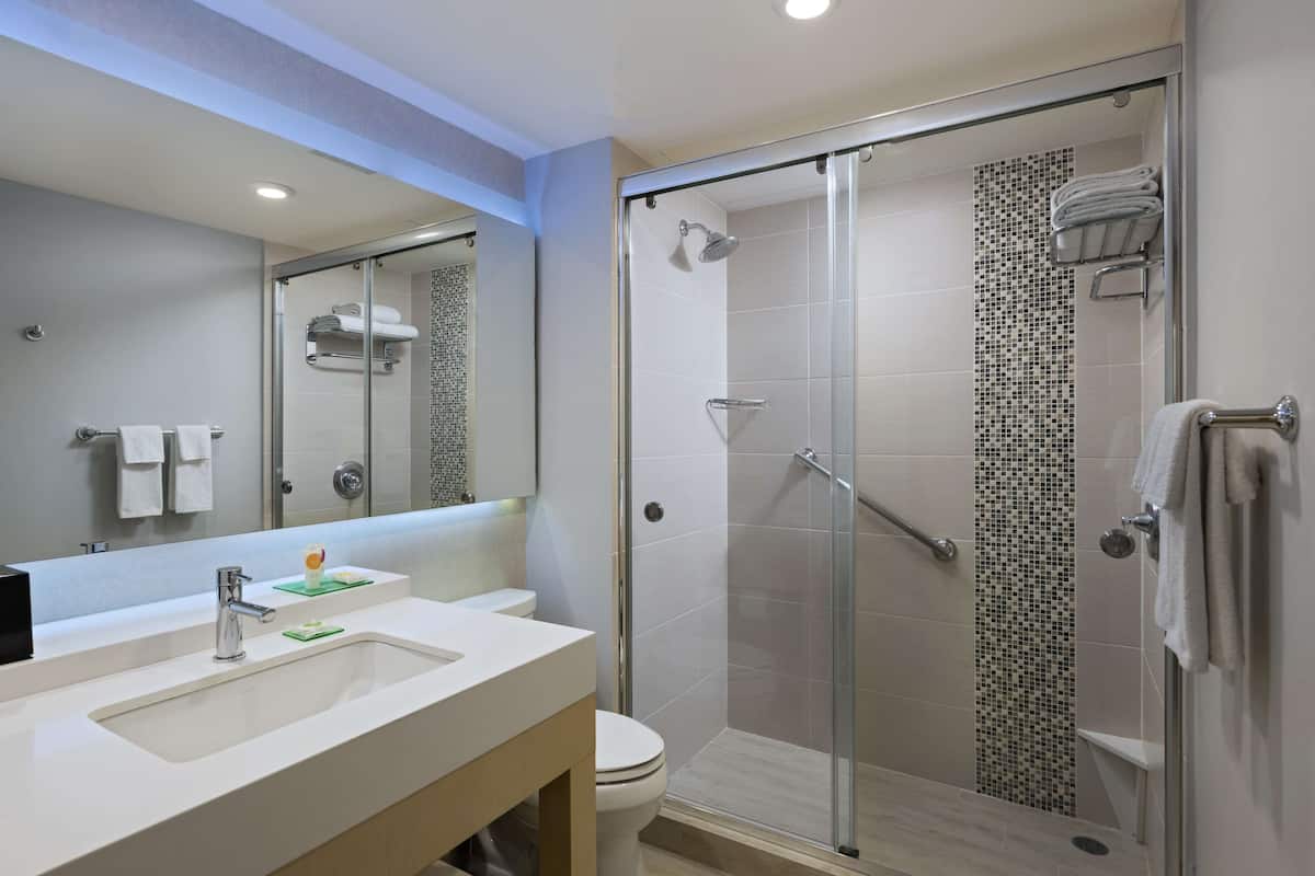 shower, designer toiletries, hair dryer, towels