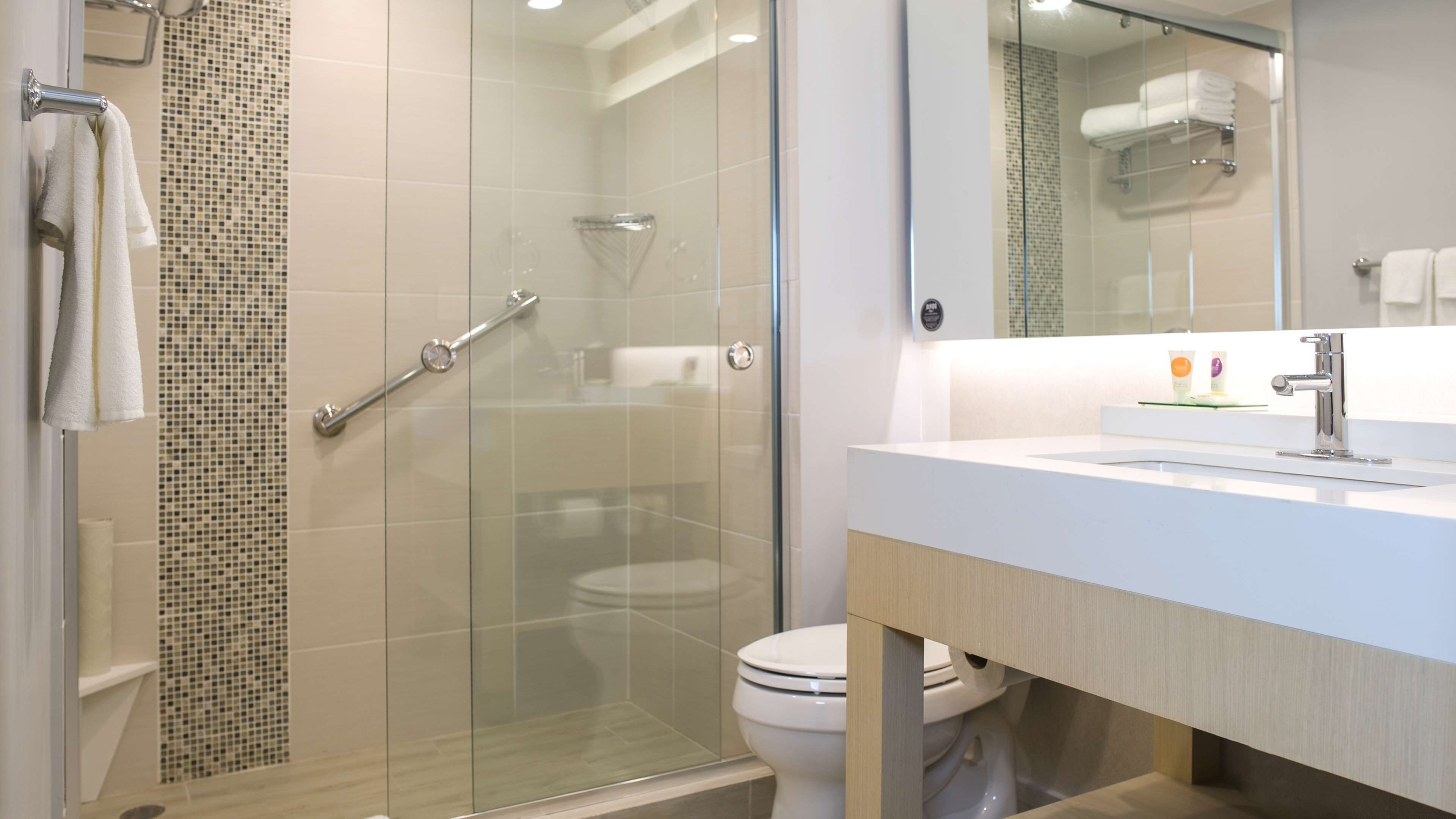 A modern bathroom with a glass shower enclosure, a white sink, and a toilet.