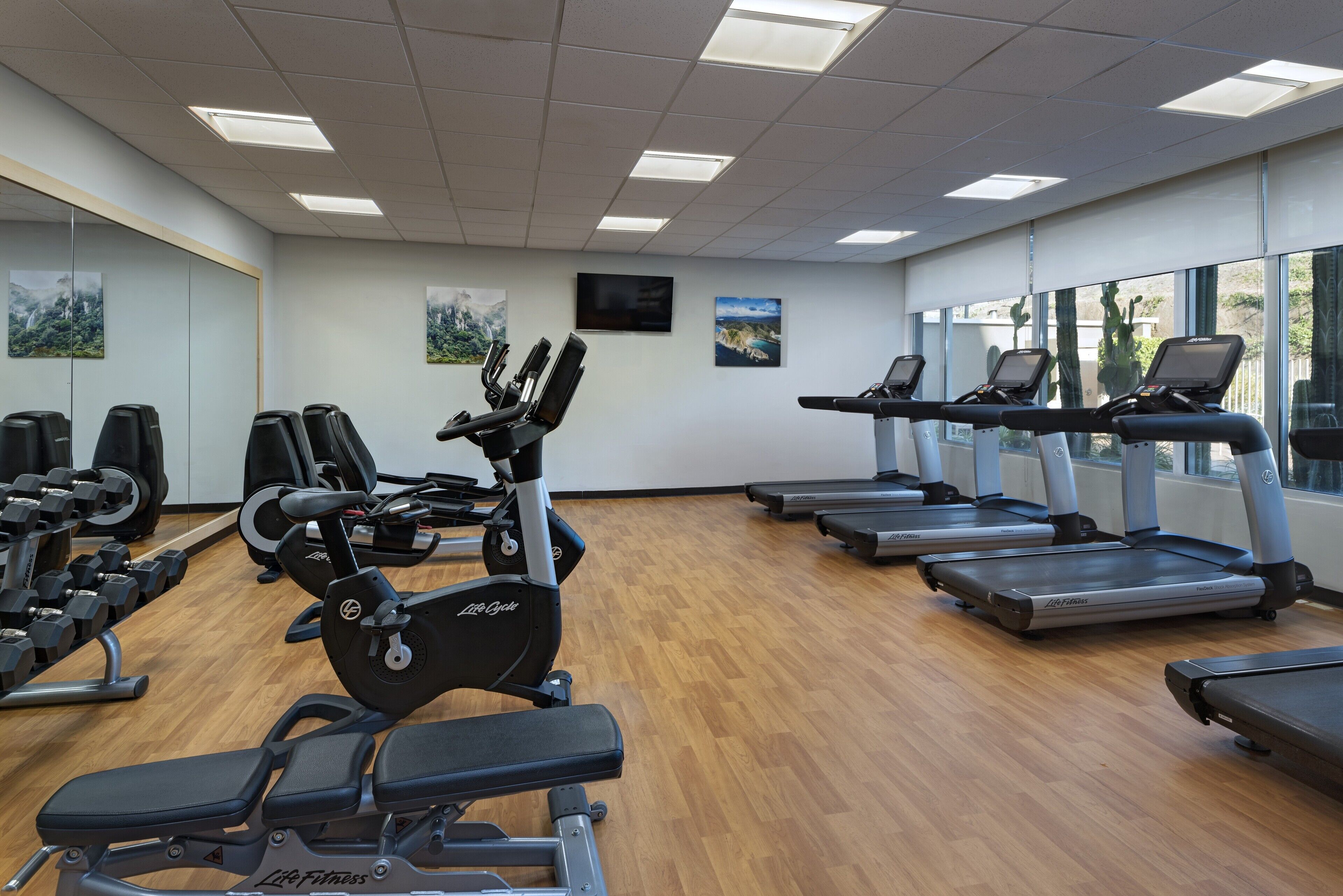 A gym with cardio machines, weight benches, and dumbbells.