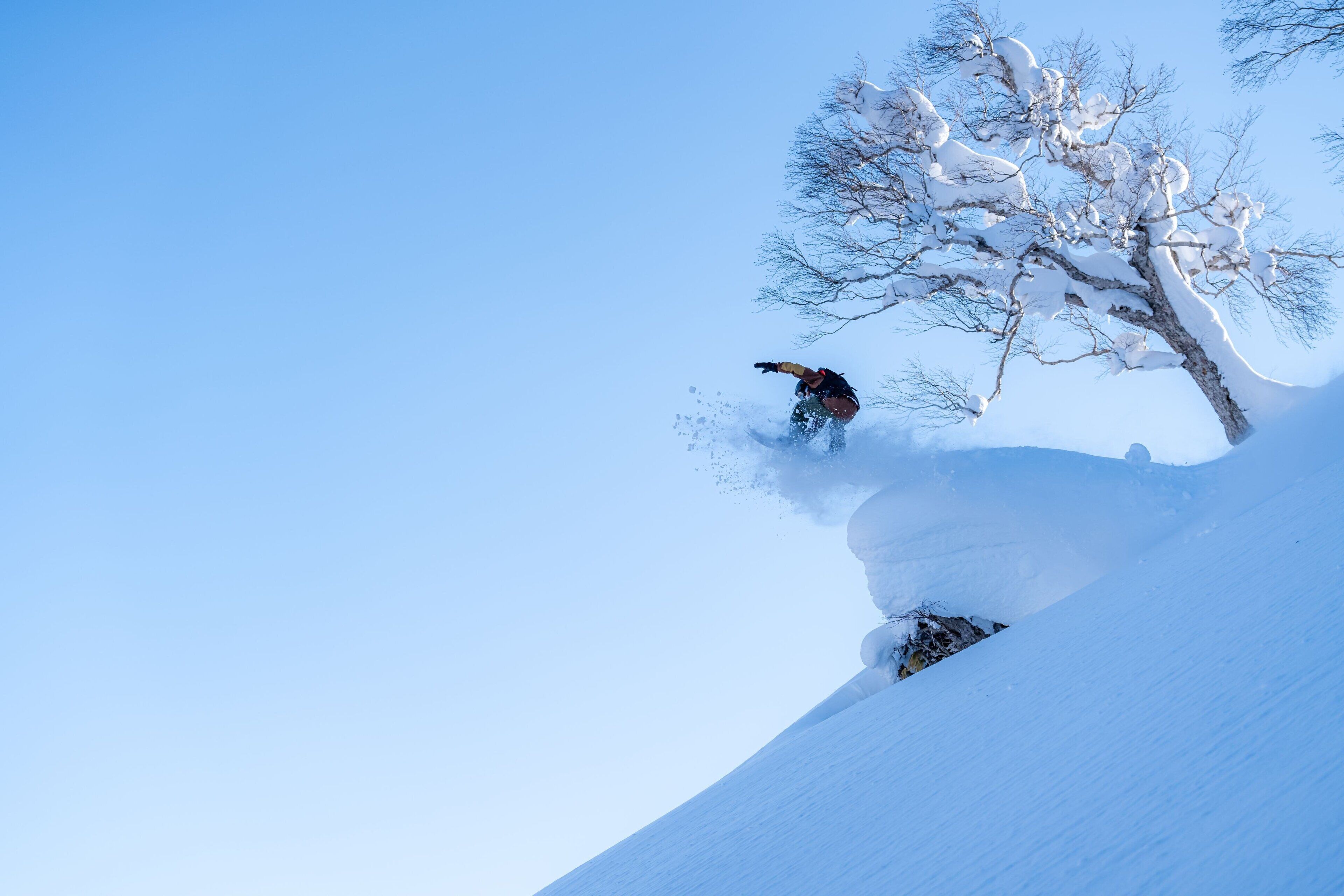 A snowboarder carving down a snowy slope with a clear blue sky and a leafless tree in the background.