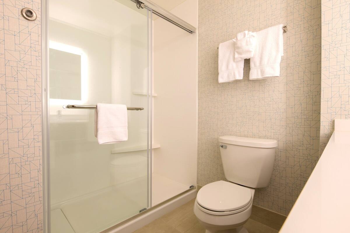 combined shower/bathtub, free toiletries, hair dryer, towels