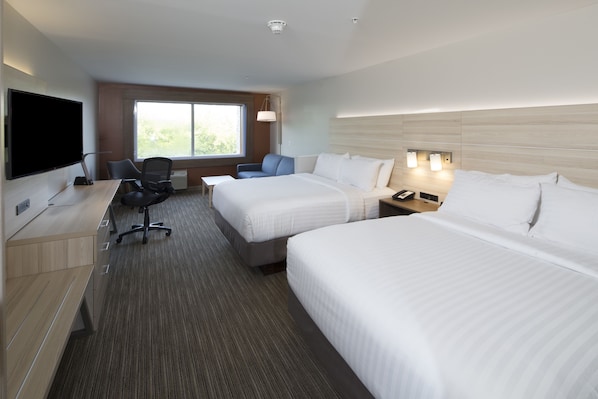Habitación de hotel con dos camas, un escritorio con ordenador, televisión y ventana con vistas a zonas verdes.