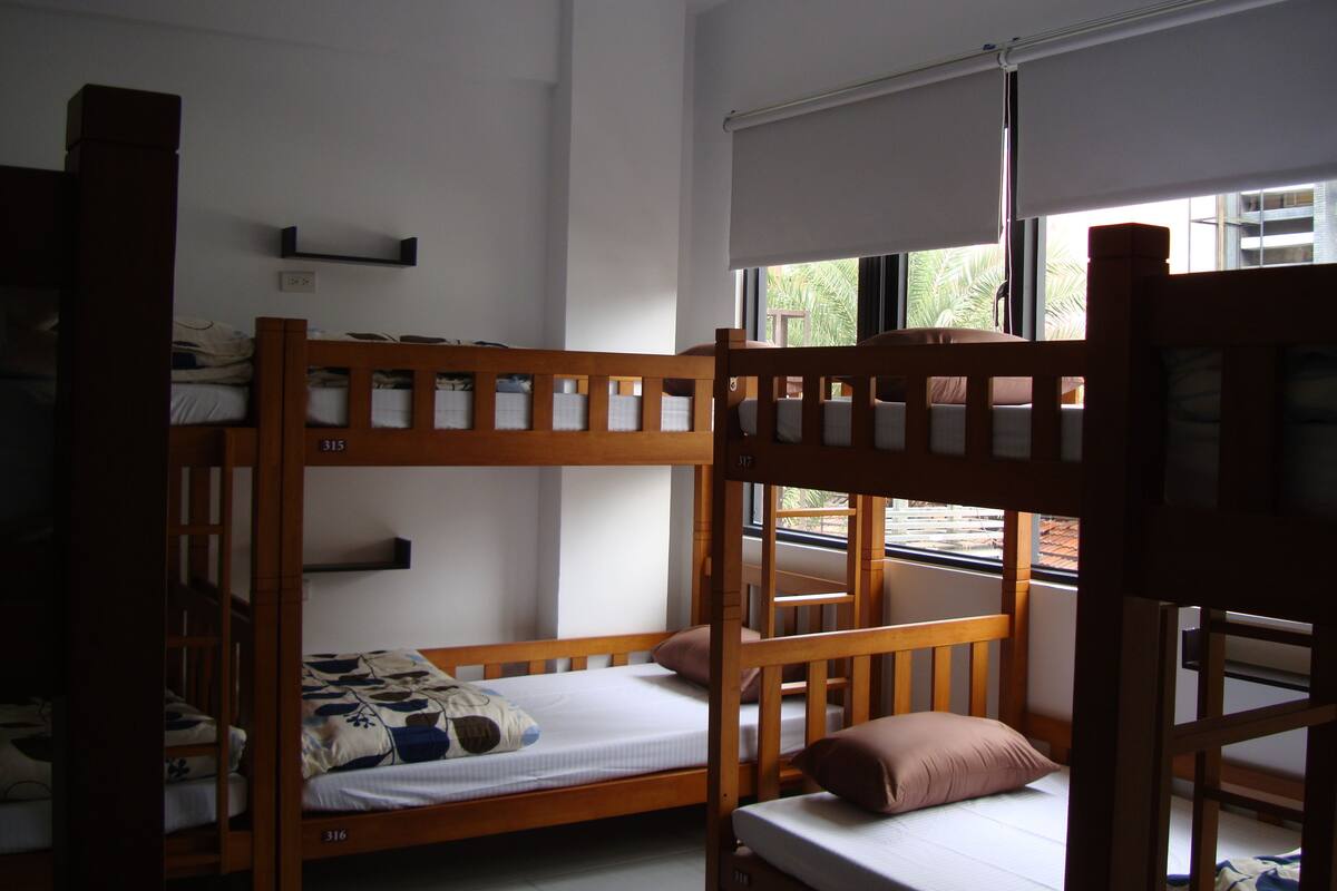 A dormitory room with bunk beds, a window with a view of palm trees, and a white wall with a shelf.
