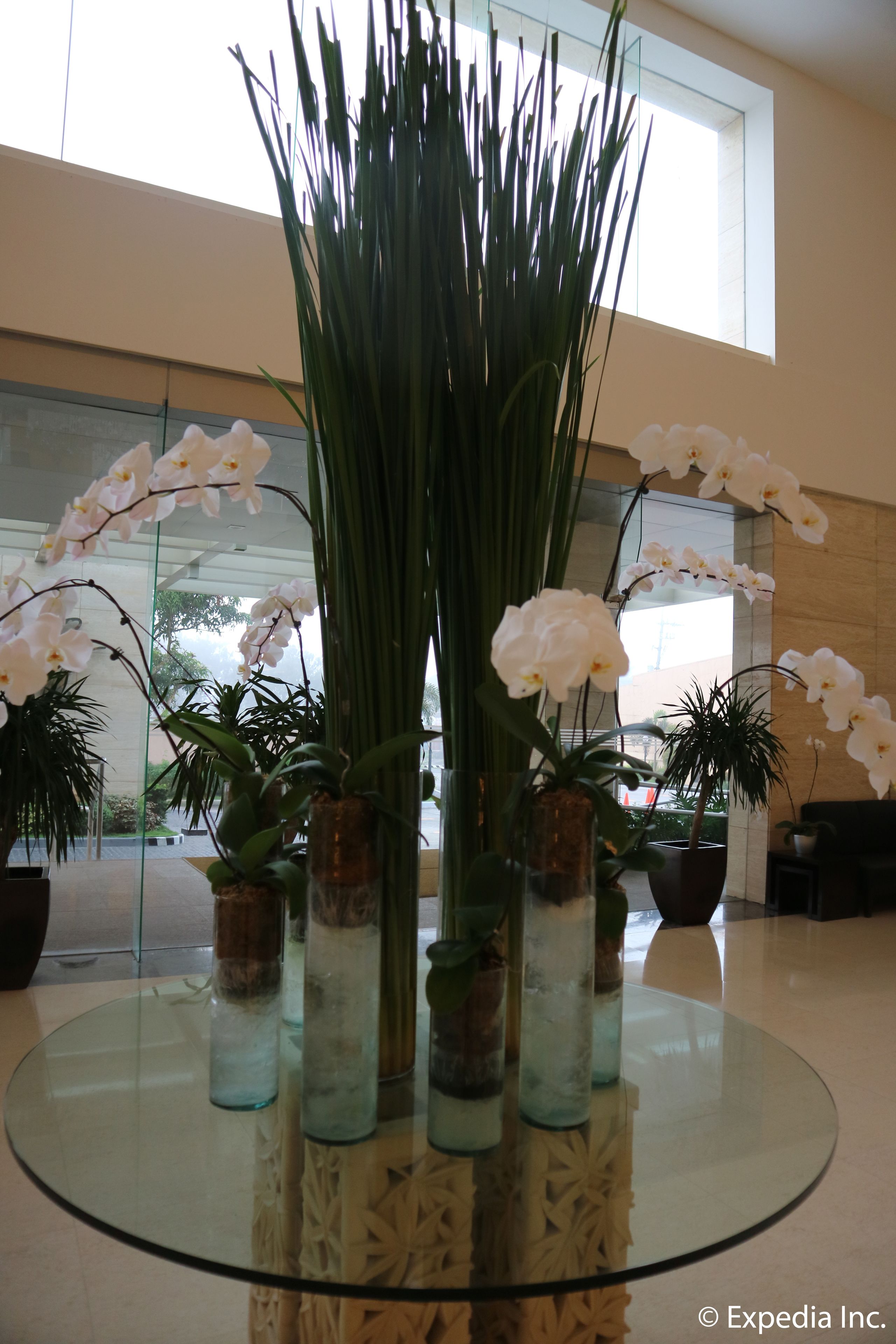 A glass table with potted orchids and a tall plant.