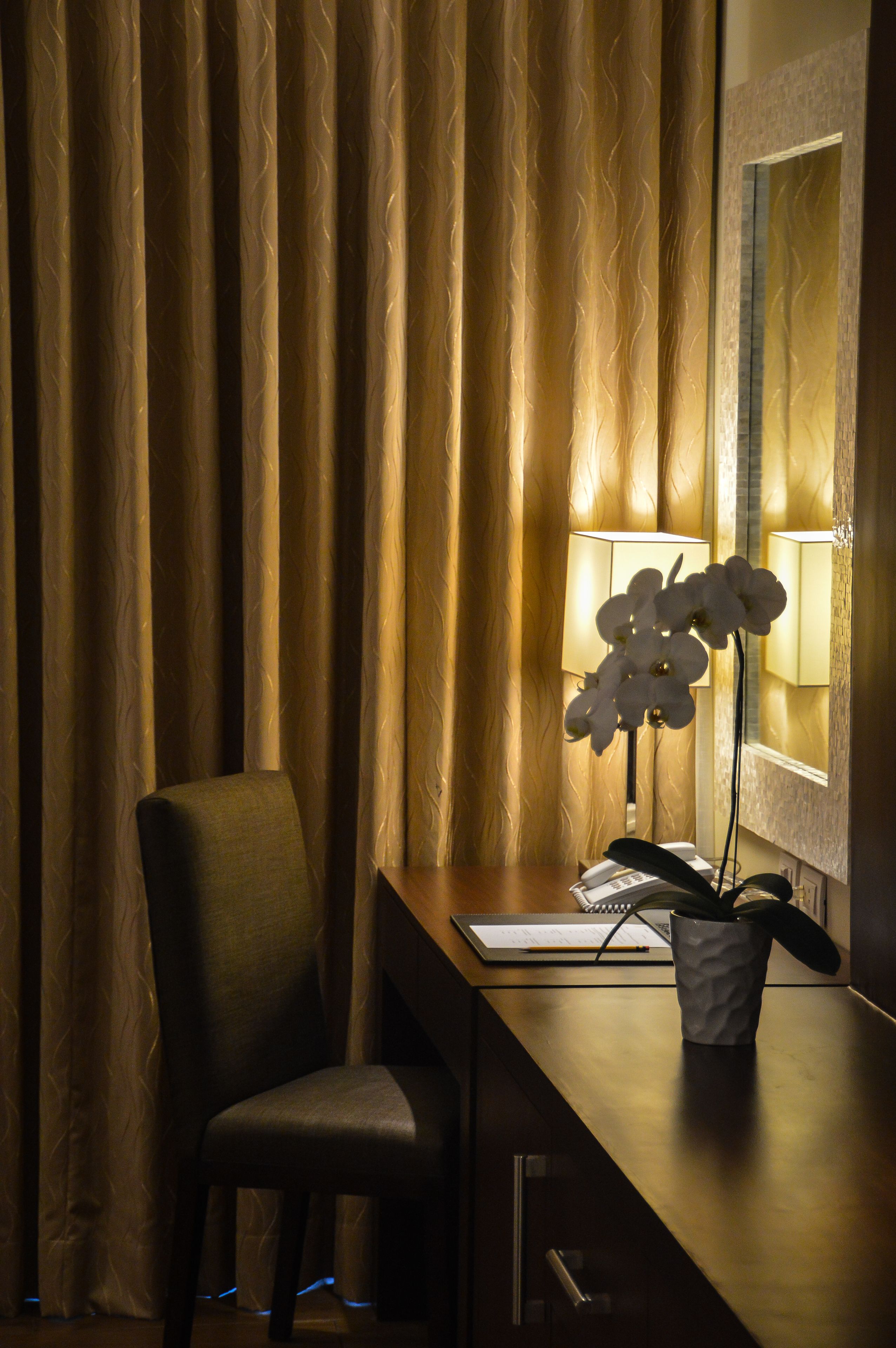 A hotel room with a desk, chair, lamp, and orchid plant.