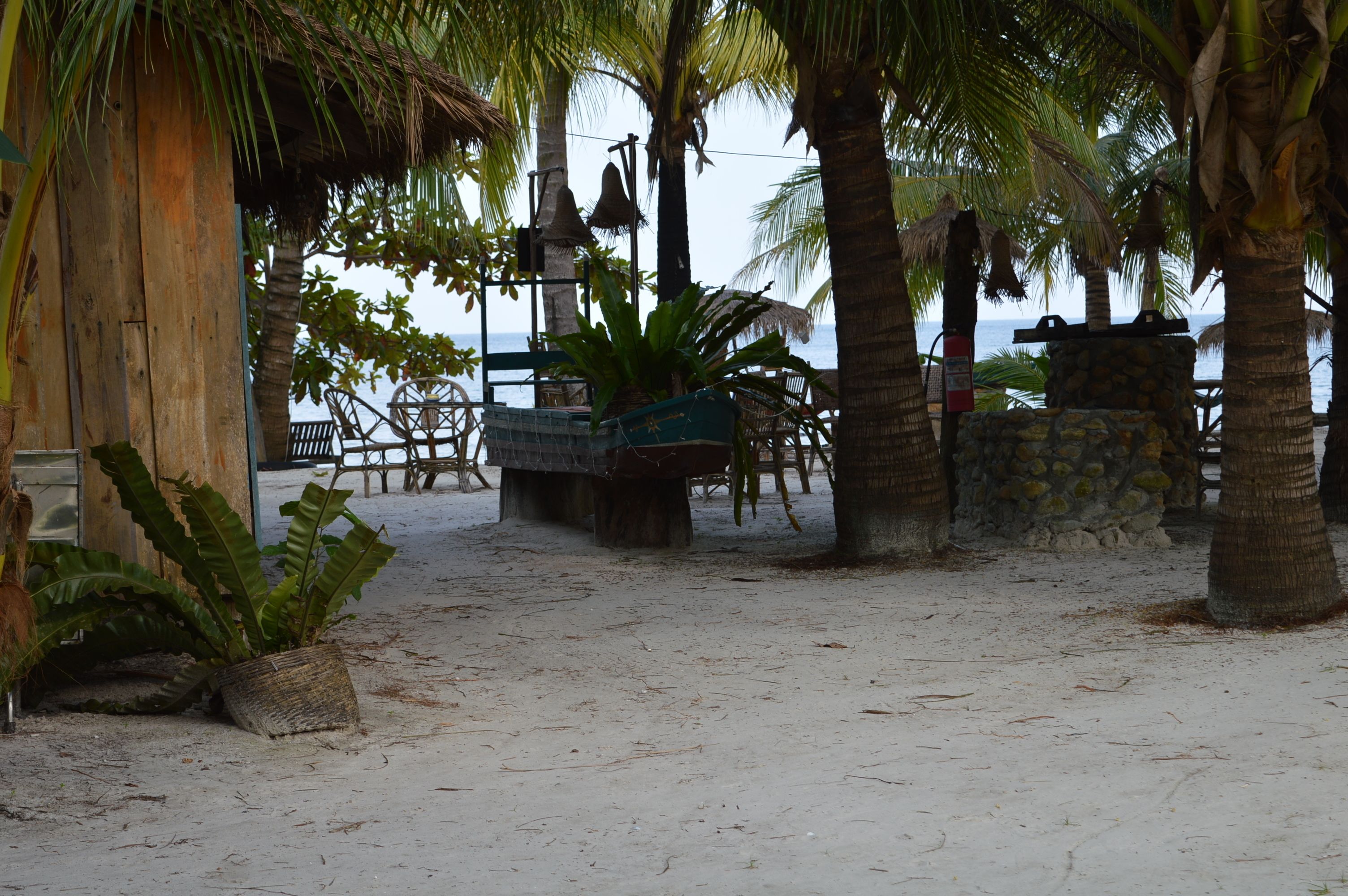 A beachside area with a wooden structure, palm trees, and a stone wall.