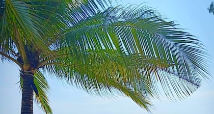 Palm Beach Bungalow Resort