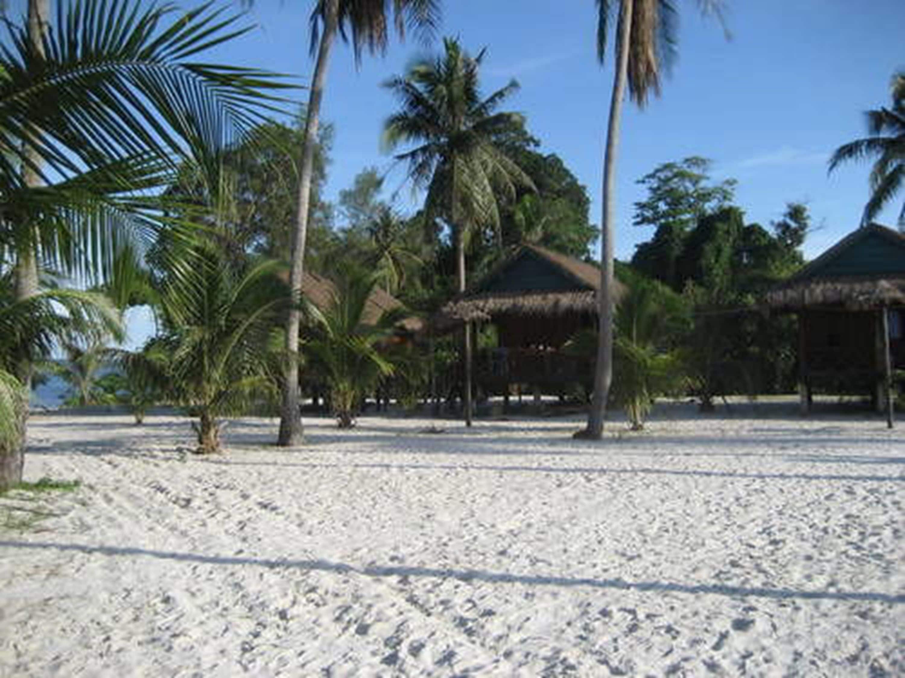 A beach with palm trees and thatched-roof huts.