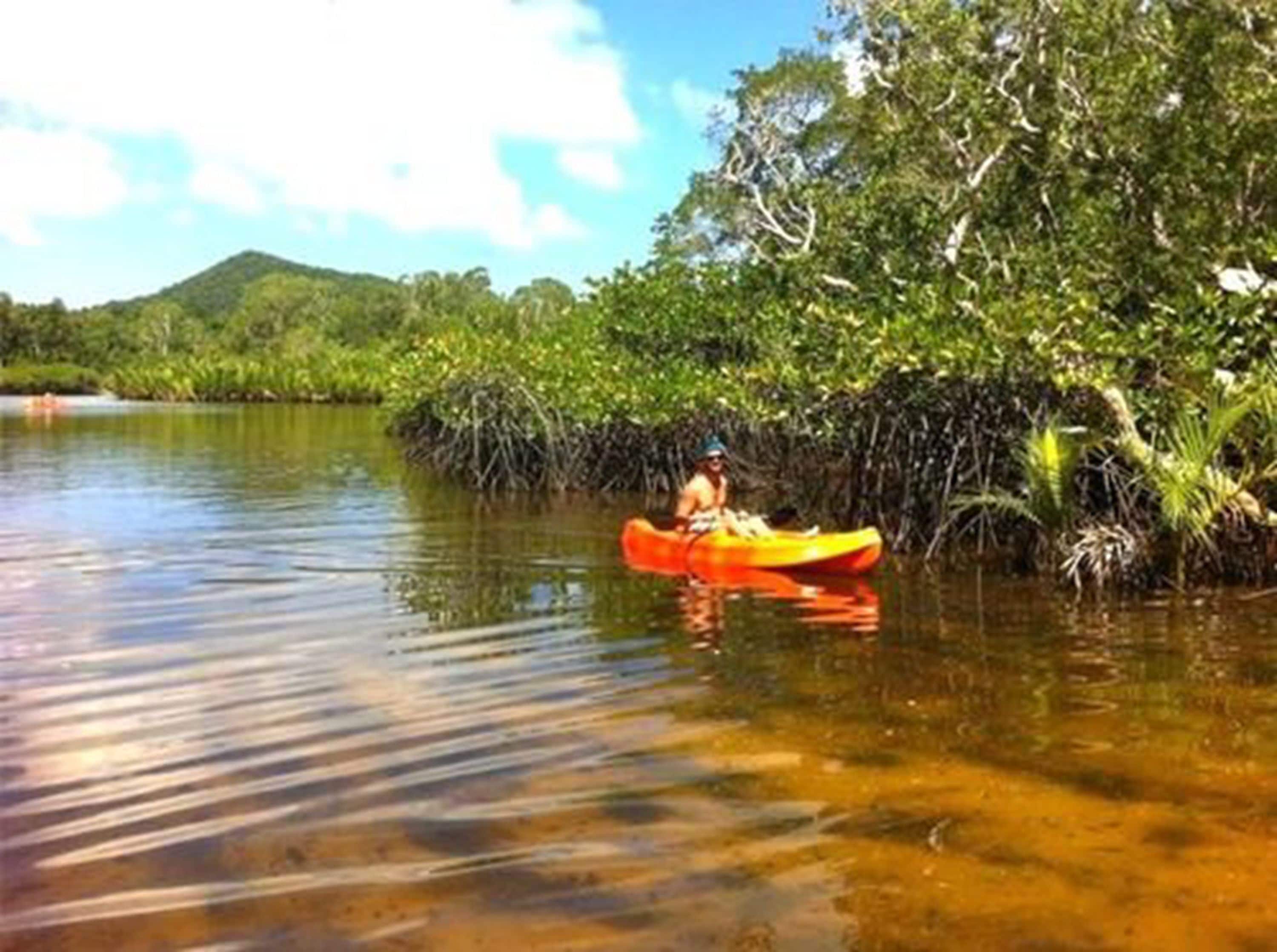 A person kayaking on a calm river surrounded by dense mangrove vegetation.