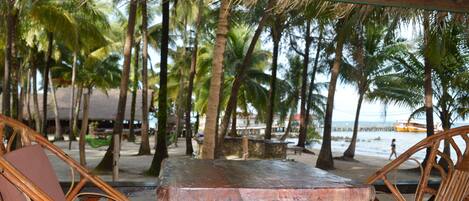 Un espace aménagé avec des tables et des chaises, situé au bord de la plage, entouré de palmiers et offrant une vue sur la plage.