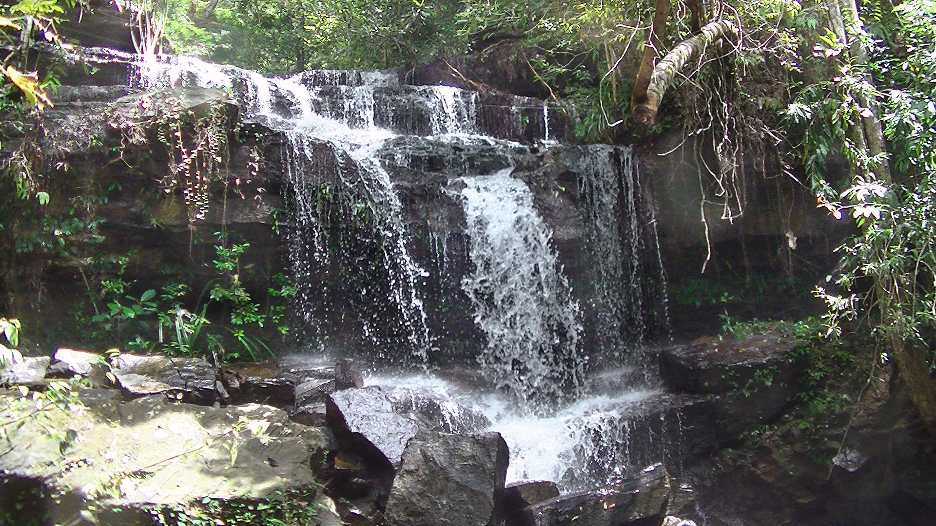 A waterfall cascading over rocks in a forested area.
