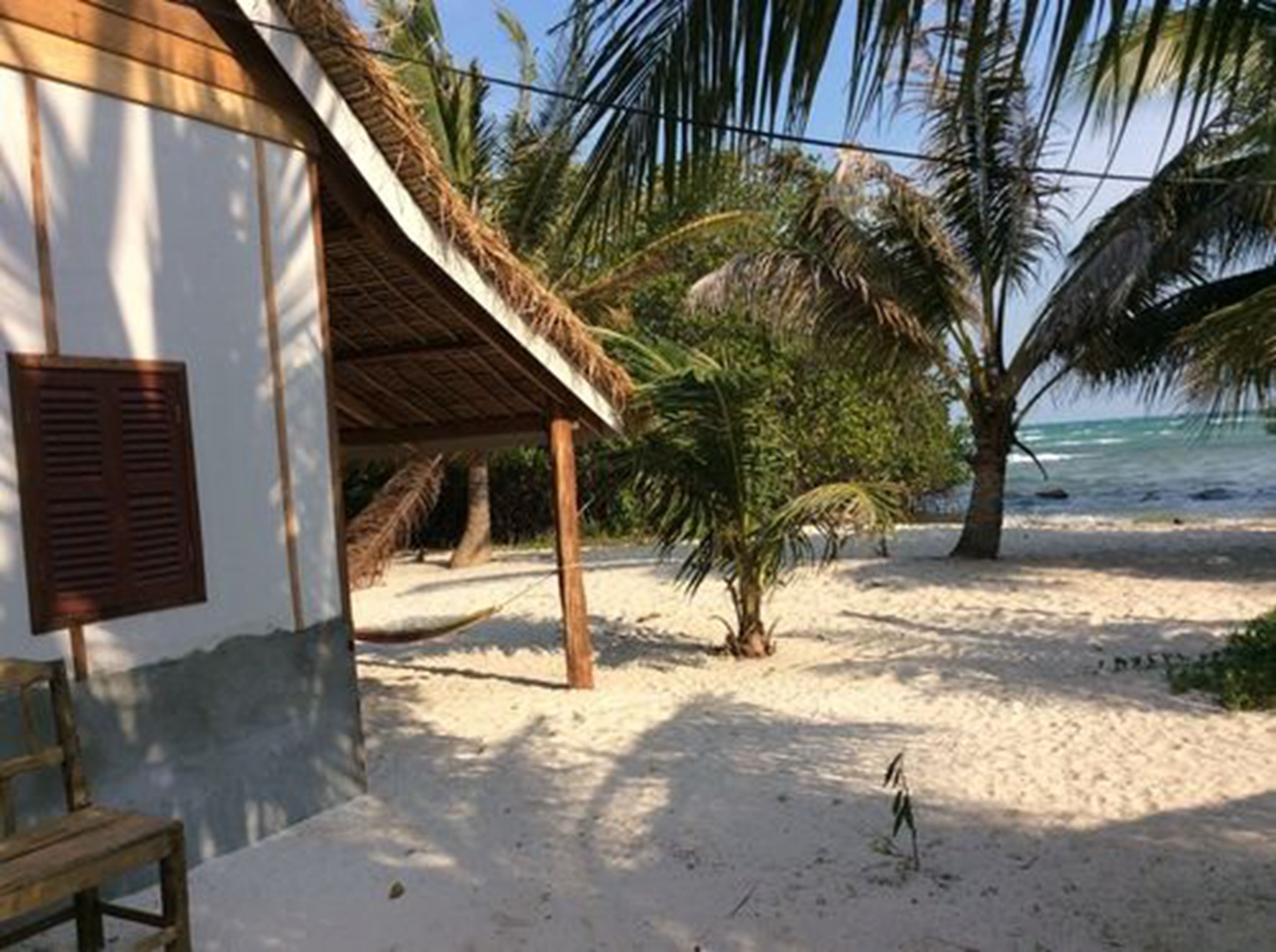 Une maison de plage avec un toit de chaume, un petit palmier et une plage de sable.
