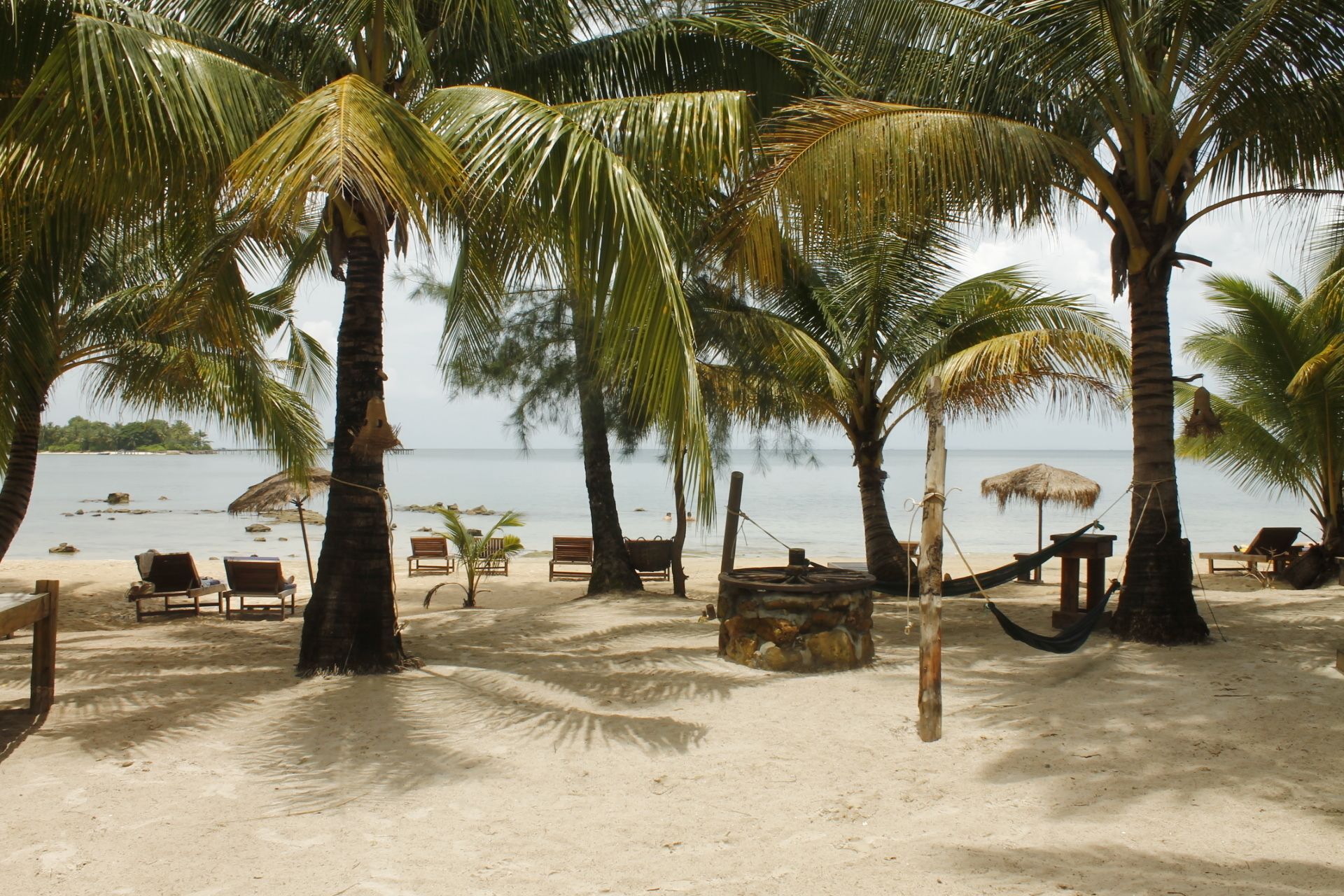 A beach with palm trees, wooden benches, and a hammock.