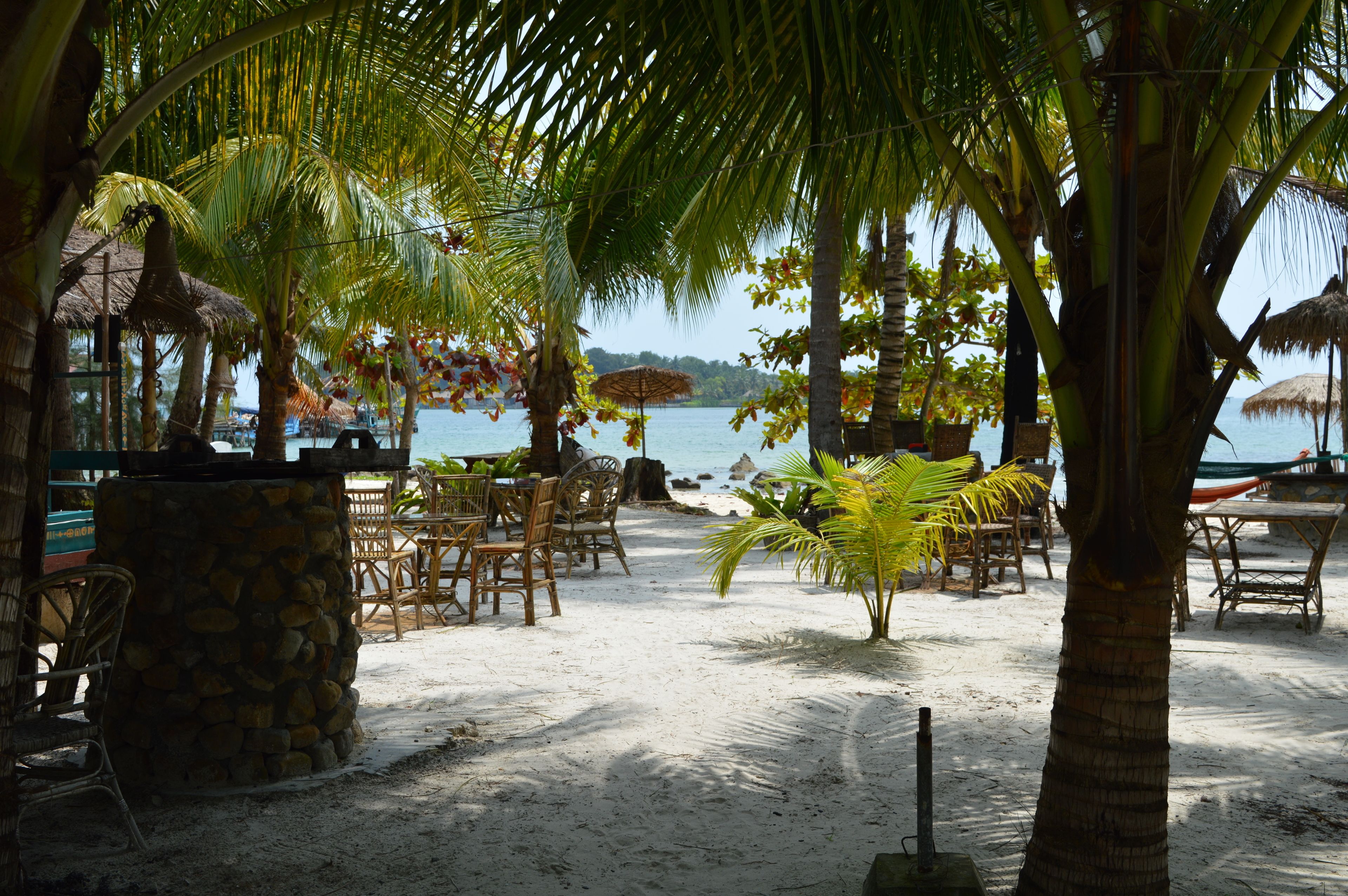 A beachside restaurant with outdoor seating, palm trees, and a view of the sea.