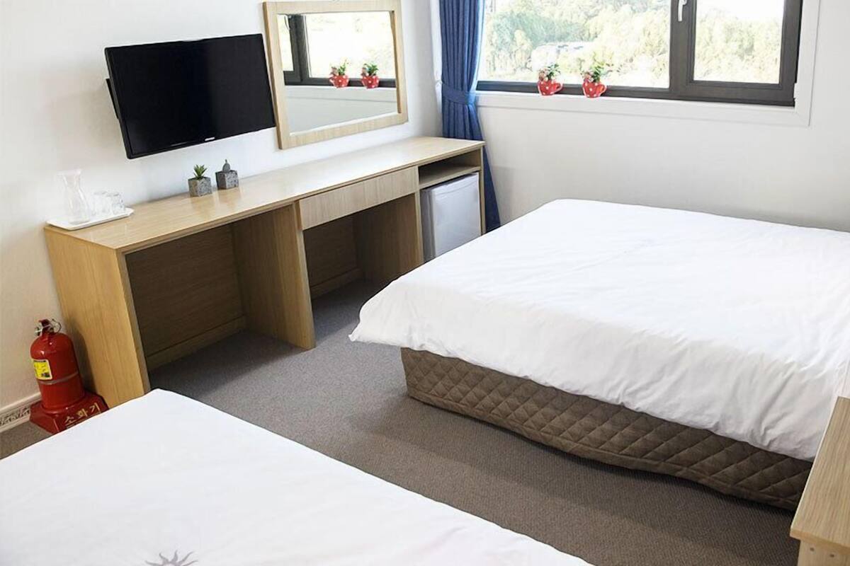 Hotelkamer met een bed, een bureau met een computer, een televisie, een raam met gordijnen en een nachtkastje met een telefoon en een plant.