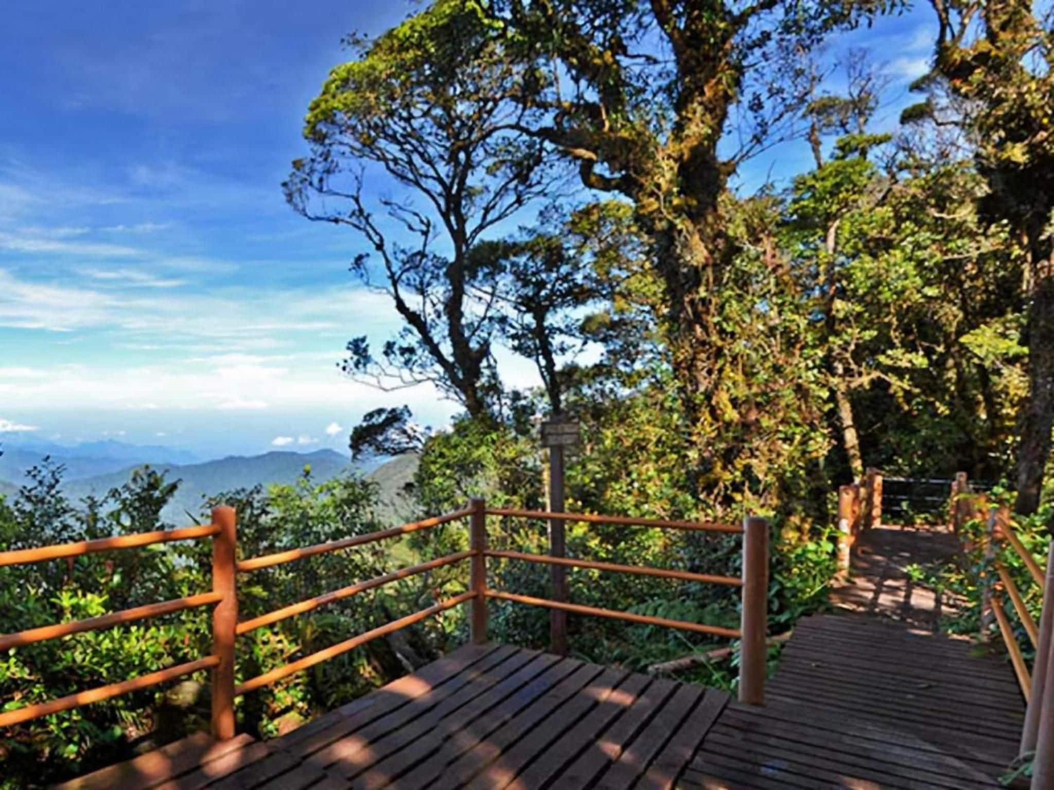 A wooden deck with a metal railing, surrounded by lush greenery and trees, overlooking a mountainous landscape.