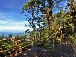 Una terraza de madera con barandilla metálica, rodeada de abundante vegetación y árboles, con vistas a un paisaje montañoso.