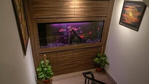 Un aqüari amb plantes aquàtiques i peixos, col·locat sobre un moble de fusta.