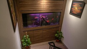 A fish tank with aquatic plants and fish, placed on a wooden cabinet. - Highlanders Hotel (Tanah Rata)