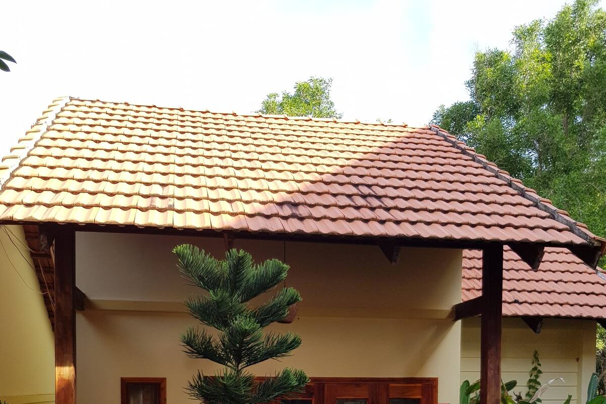 Bungalow, quang cảnh vườn | Minibar, két bảo mật tại phòng, bàn, phòng cách âm 