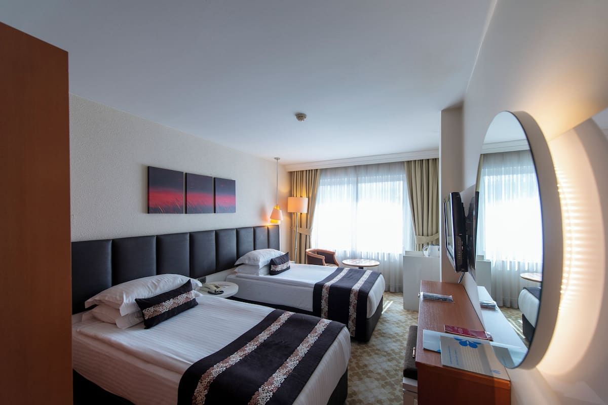 Standard Single Room | Minibar, in-room safe, desk, soundproofing