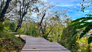 A wooden pathway surrounded by lush greenery and trees. - Hong Mon Resort Da Lat (Xuan Huong - Da Lat)
