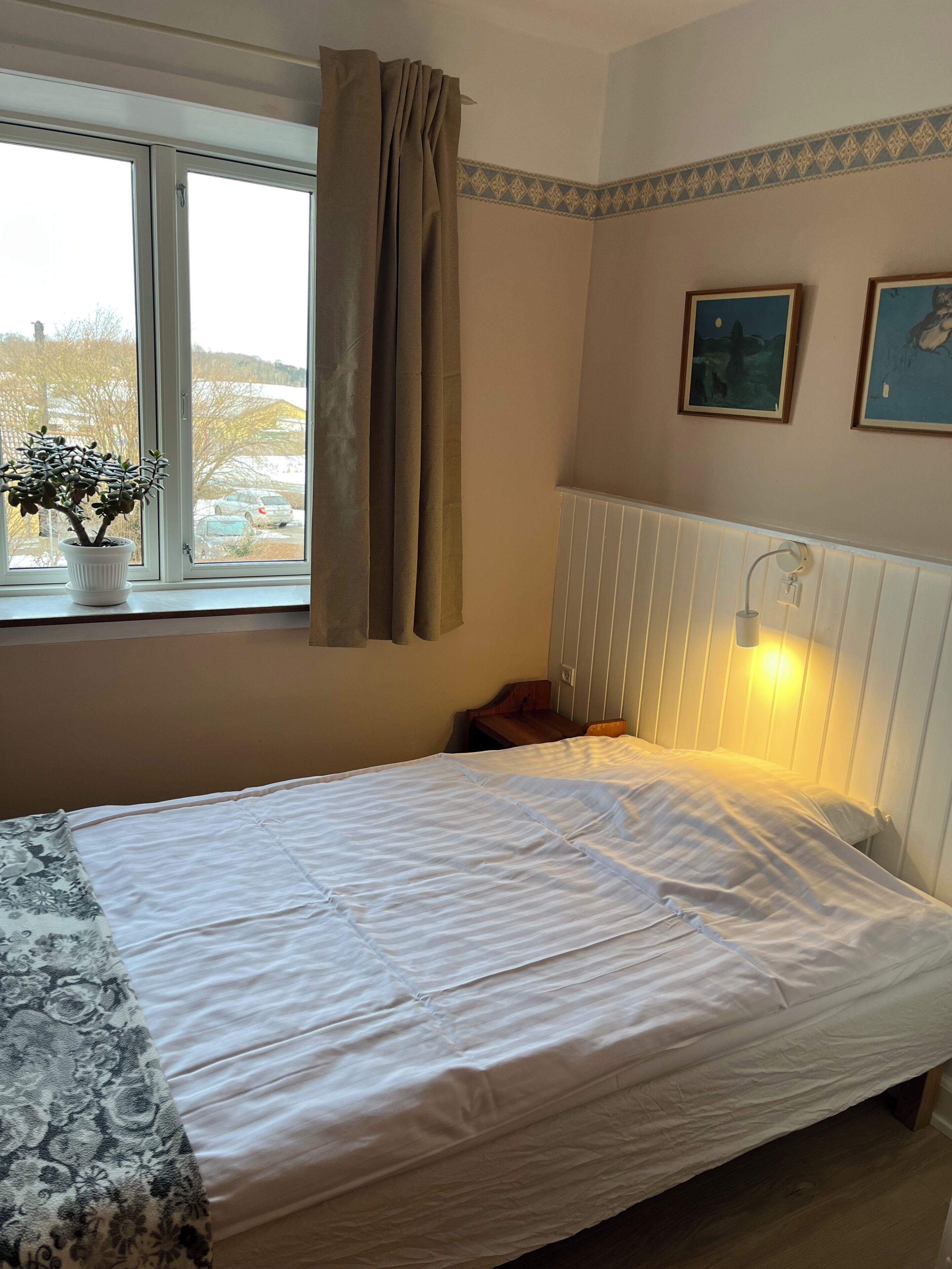 A bedroom with a bed, a window with curtains, a potted plant, and wall-mounted pictures.
