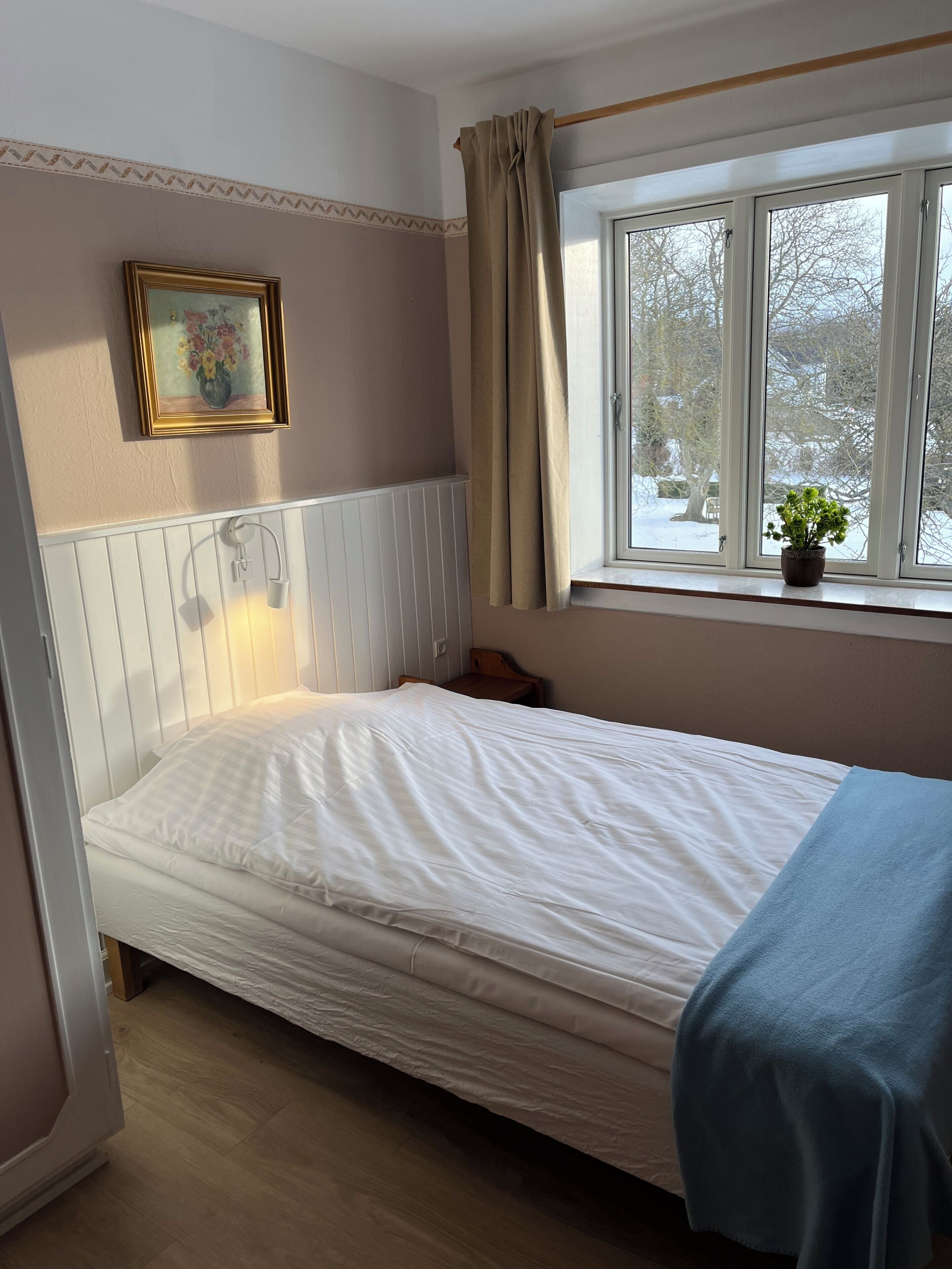 A single bed with a white mattress, a bedside table, a small potted plant on the windowsill, and a framed picture on the wall.