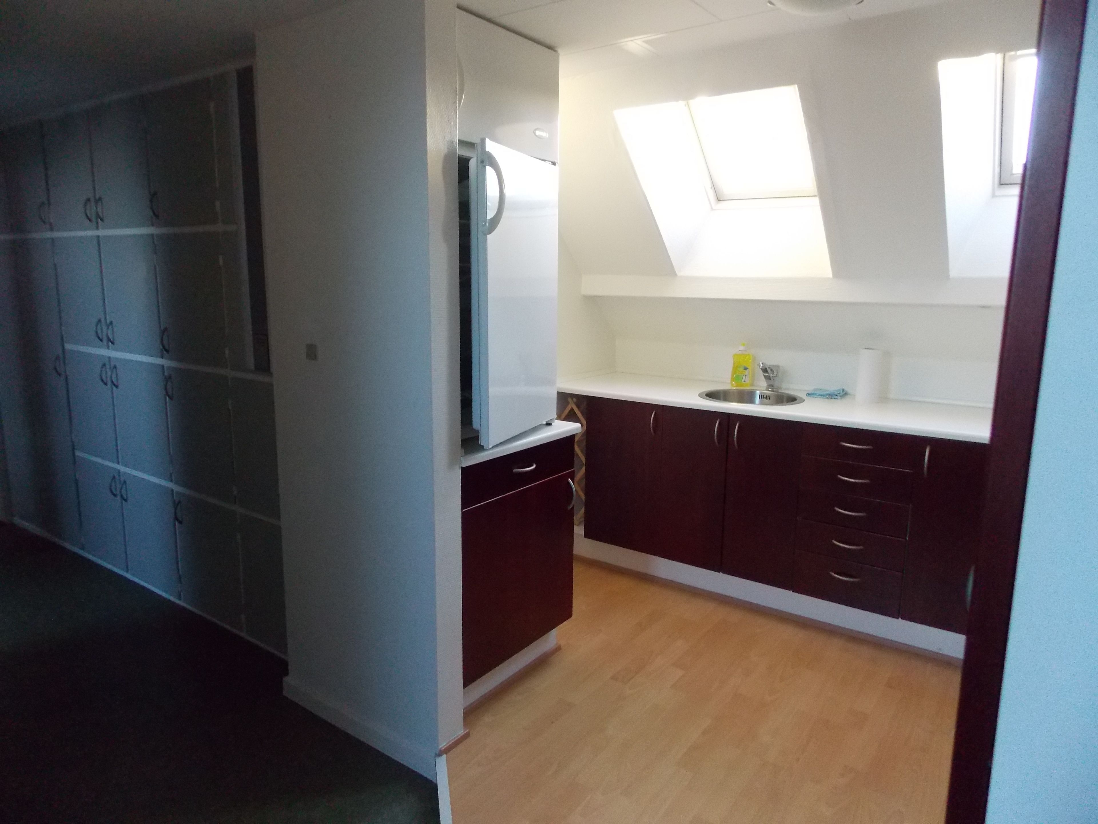 A compact kitchen with dark cabinets, a white countertop, and a skylight.