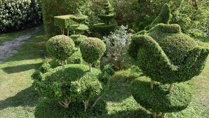 Ein Garten mit unterschiedlich geschnittenen Formschnitten und Sträuchern.