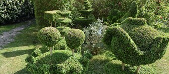 NyGammelsø Bed and Breakfast